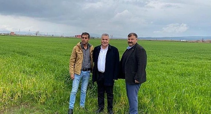 Torbalı Belediyesi tarlalarına buğday ekti